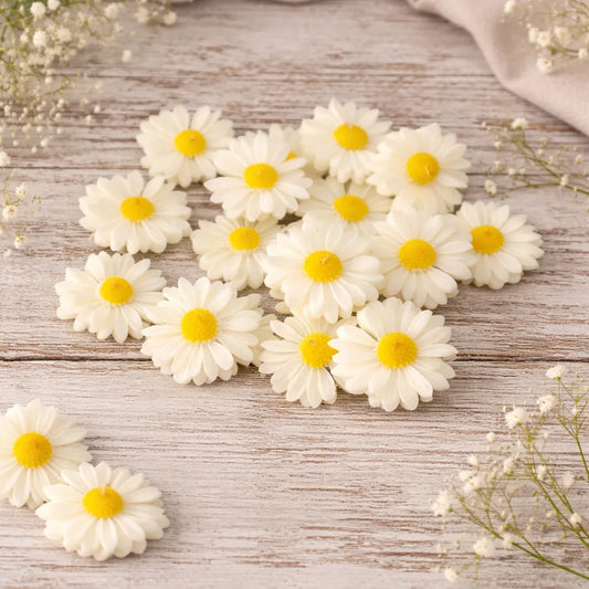 Farmaishy Decorative Floating Daisy Flower Candles (Set of 6)